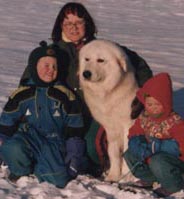siv with her maremma sheepdogs